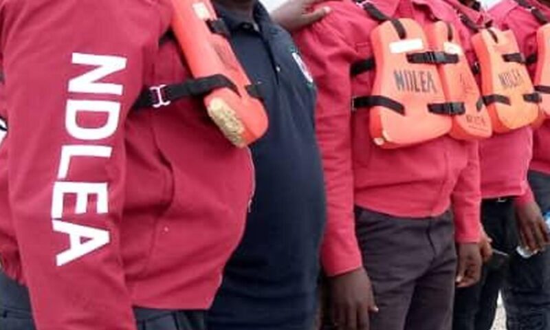 NDLEA arrests 150 drug trafficking suspects in Nasarawa