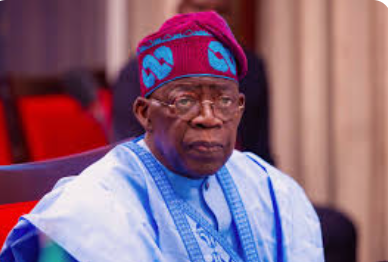 Tinubu may suspend import duties on food, drugs