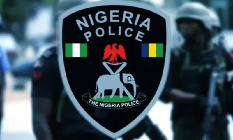 Police ban unlawful gatherings in Kaduna