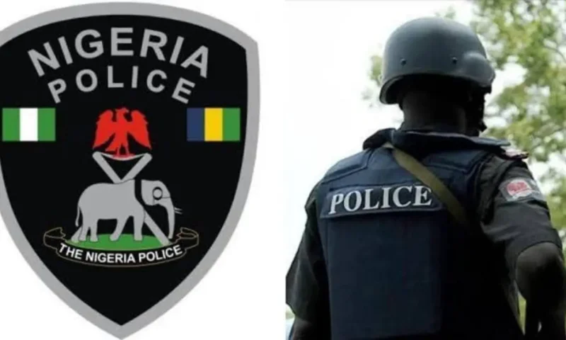 Alleged organ harvesting: Enugu police caution ladies against moving with unknown male partners