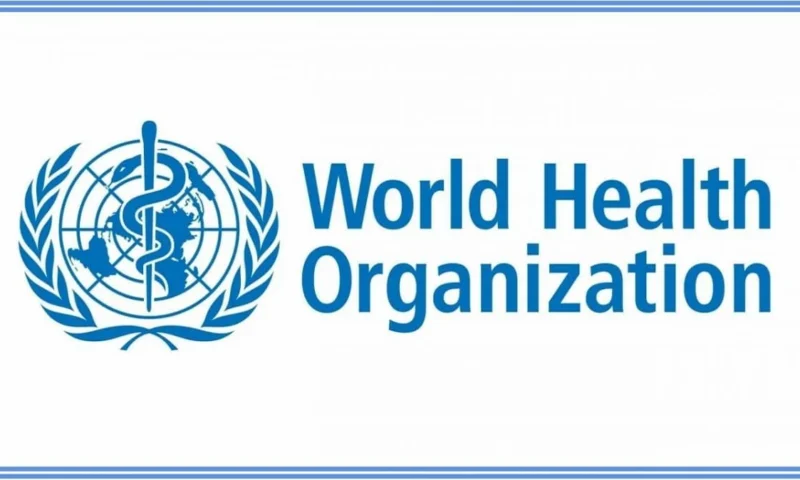 Mpox: WHO reveals plan to contain outbreak