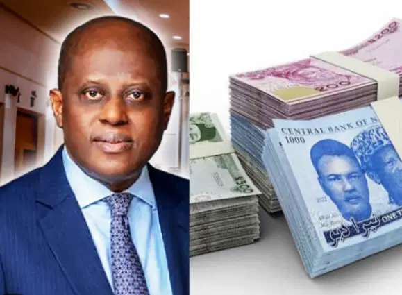 Banks’ Recapitalisation: Foreign investors moving in — Cardoso