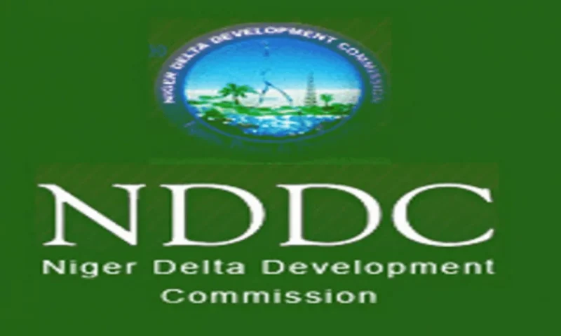 Edo Guber: NDDC denies funding APC campaign