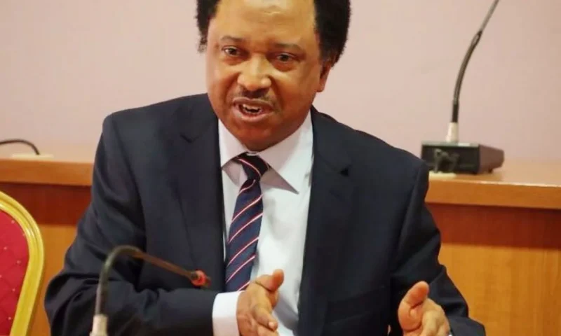 Russian flag: Money was shared – Shehu Sani alleges plots to overthrow Tinubu’s govt