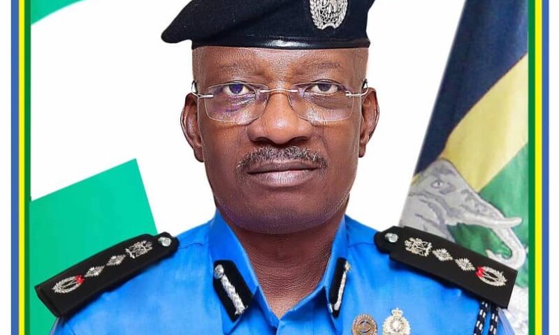 Lawyer sues FG over IG’s tenure elongation