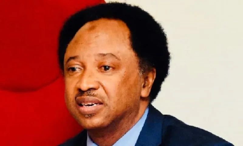 PDP: Kwankwaso declared himself ‘messiah’ – Shehu Sani