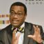 Adesina calls for bold action to tackle Africa’s challenges