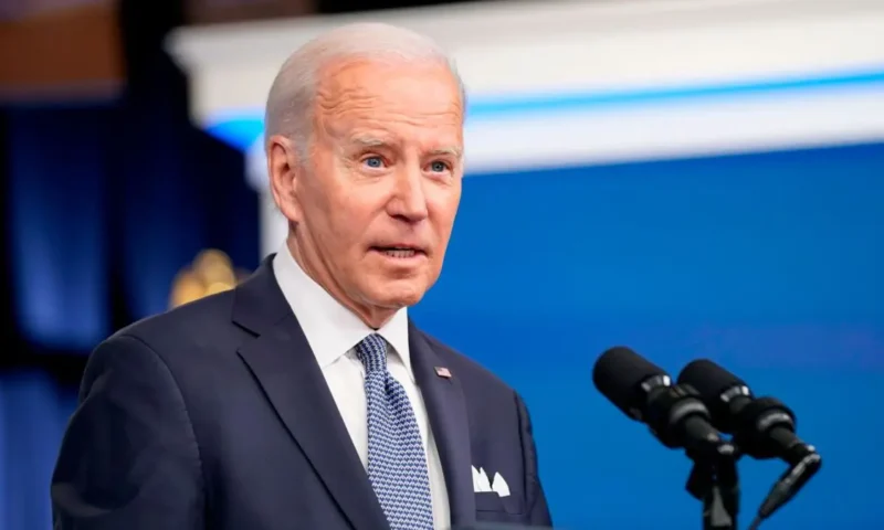 Nigeria deserves permanent UN security council seat – Biden