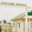 Customs seizes four containers of N1.1b drugs at Apapa port