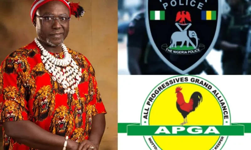 Imo LG poll: APGA calls for release of Owerri North chairmanship candidate Ahanonu