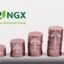 SEC, NGX Group, And JSE Collaborate on Governance, Market Development, And Sustainability