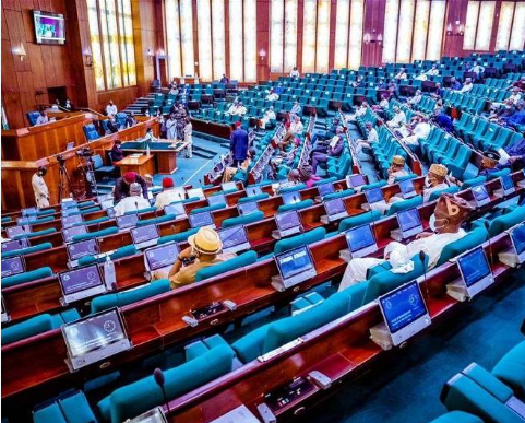 Reps want airstrip licences withdrawn from Canaanland, others