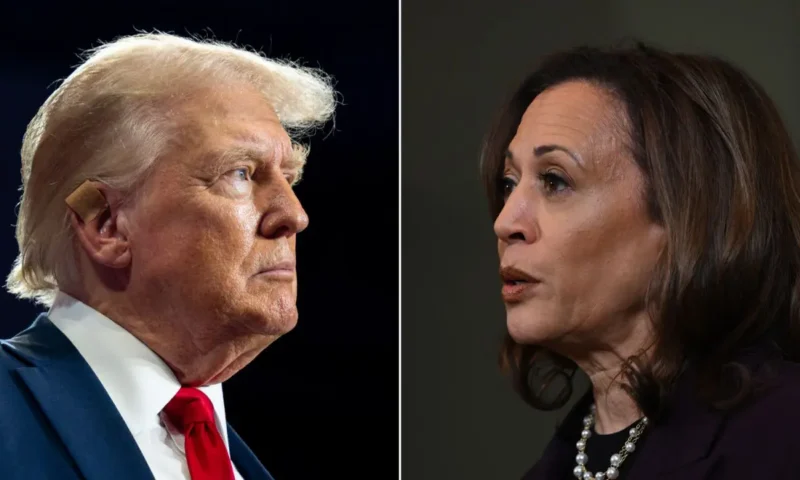 US election: List of states won by Trump, Kamala Harris