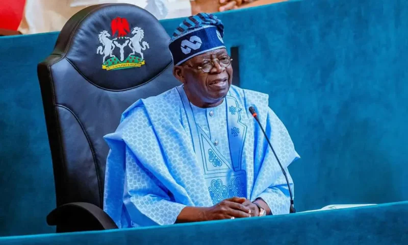 I meet financial obligations without NNPC, Ways & Means -Tinubu