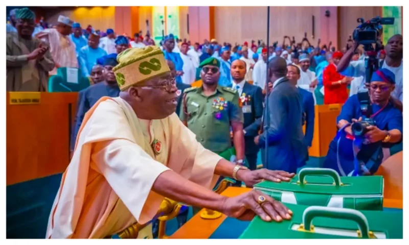 Knocks, kudos trail Tinubu’s N49.7trn 2025 budget proposal