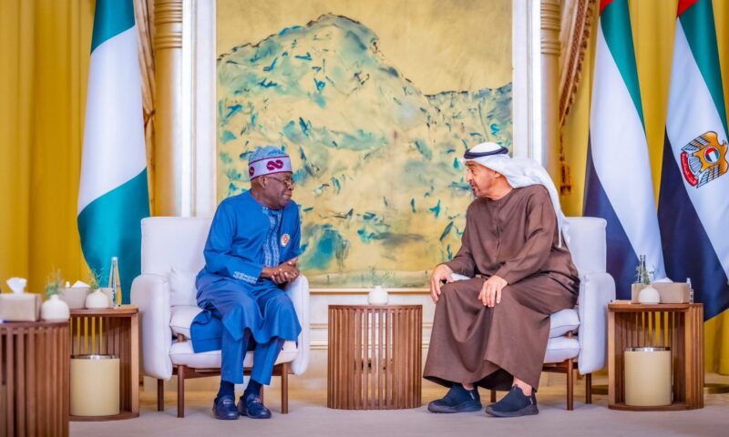 Tinubu invites UAE president to Nigeria