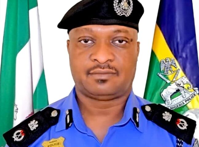 Police decorate 92 promoted officers in Bauchi