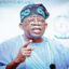 Again, NULGE, ALGON ask Tinubu to enforce LG autonomy