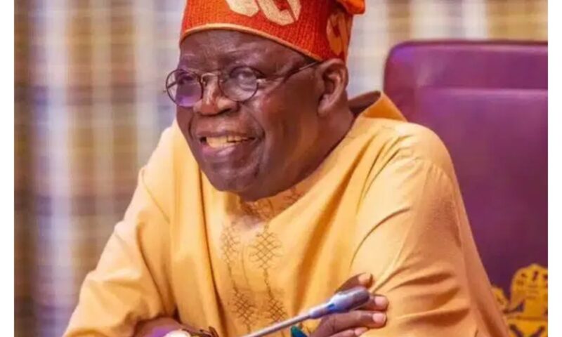 Northern leaders reject Ganduje’s call for Tinubu’s re-election