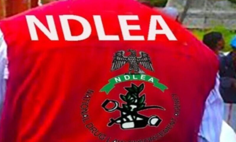 NDLEA foils major drug trafficking attempts in Kano, nabs suspects