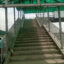 FG urged to build pedestrian bridge on Lagos-Ibadan expressway