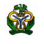 CBN unveils new platform, eyes $1bn monthly diaspora remittances
