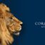 Coronation Merchant Bank reports N13.4bn PBT