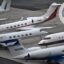 NCAA under fire after plane strikes antelope on taxiway