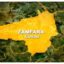 PFS forces neutralize 10 bandits, recover weapons in Zamfara