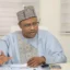 Coalition: ‘No threat against Tinubu’ – Gov Sani reacts as ADA emerges
