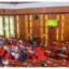 National Assembly will rubber stamp in Nigeria’s interest – Senate replies critics