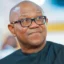 2027: PDP begs Peter Obi to return to party